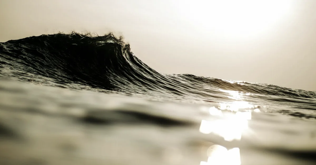 An ocean wave forming in warm sunset light
