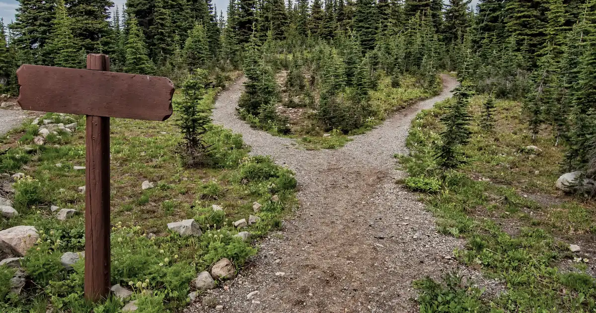 Sentier forestier qui se sépare en deux chemins
